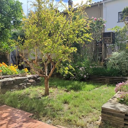 Apartmán Les Papillons Perpignan Exteriér fotografie